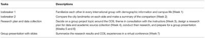 When Different Language Groups Meet Online: Covert and Overt Focus on Form in Text-Based Chats